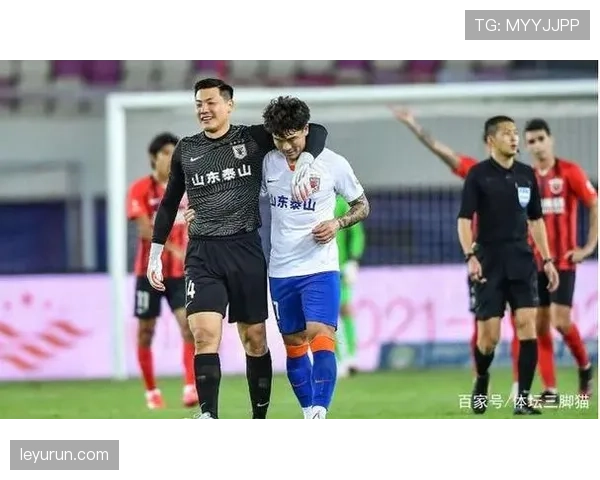 无效进球判罚标准详解及裁判执行规则解析 无效进球判罚标准详解及裁判执行规则解析
